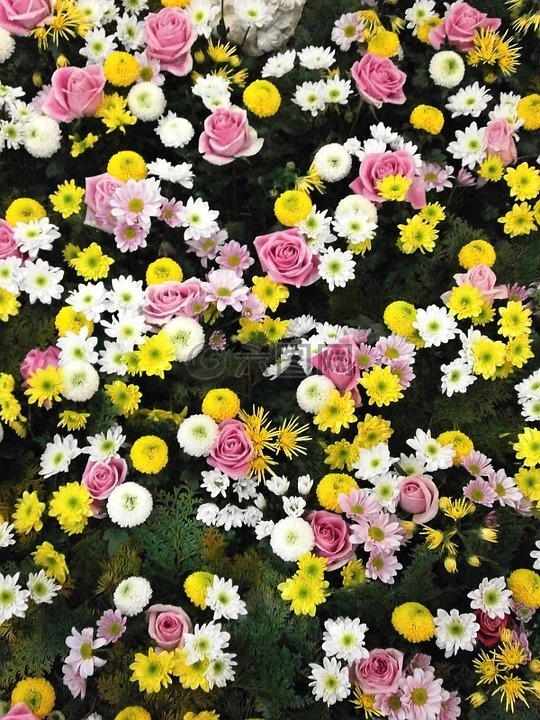 鲜花,纹理,花地毯