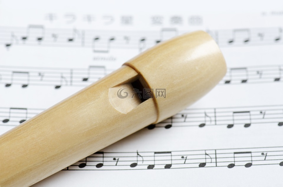 长笛,块长笛,管乐器