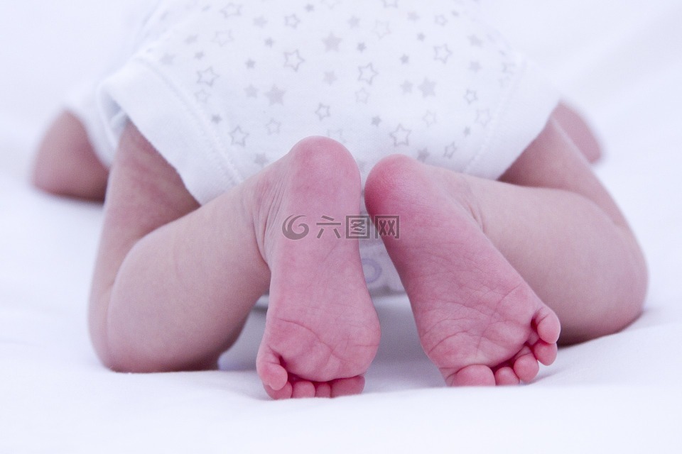婴儿,脚,可爱