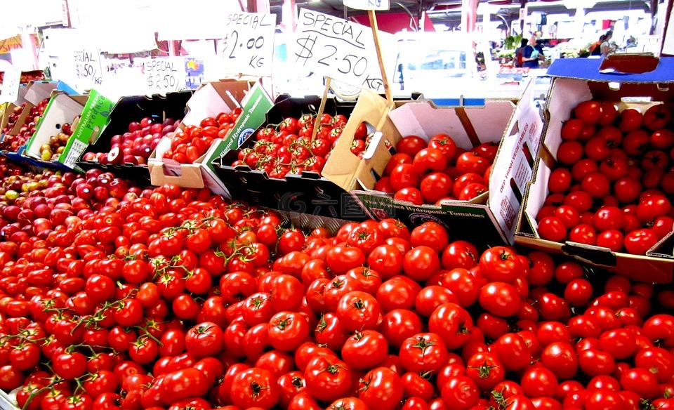 蕃茄,盒,农民和地方市场