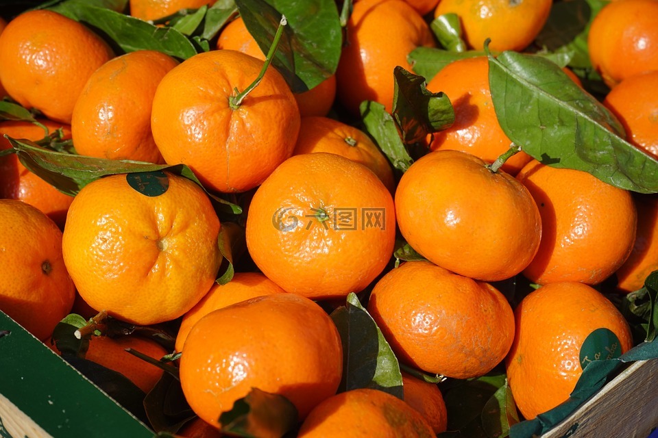 柑橘,水果,维生素