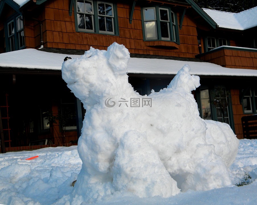 雪犬,mt汤姆·艺术,雪