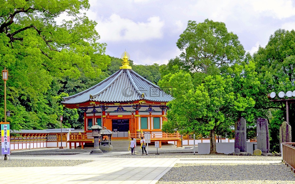 日本,寺,景观