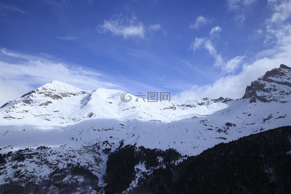 山,雪,牛