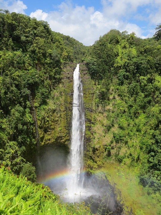 瀑布,夏威夷,阿卡卡瀑布