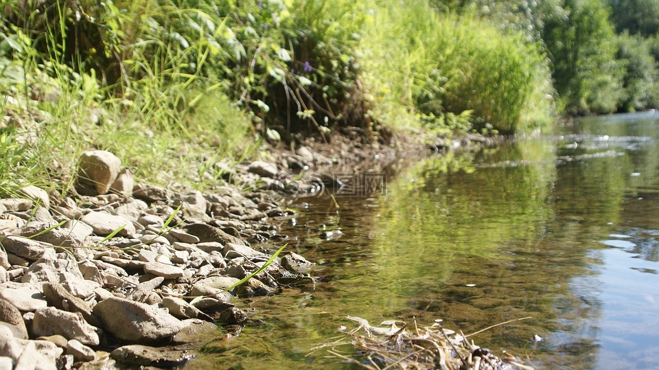 河,海滩,河岸边