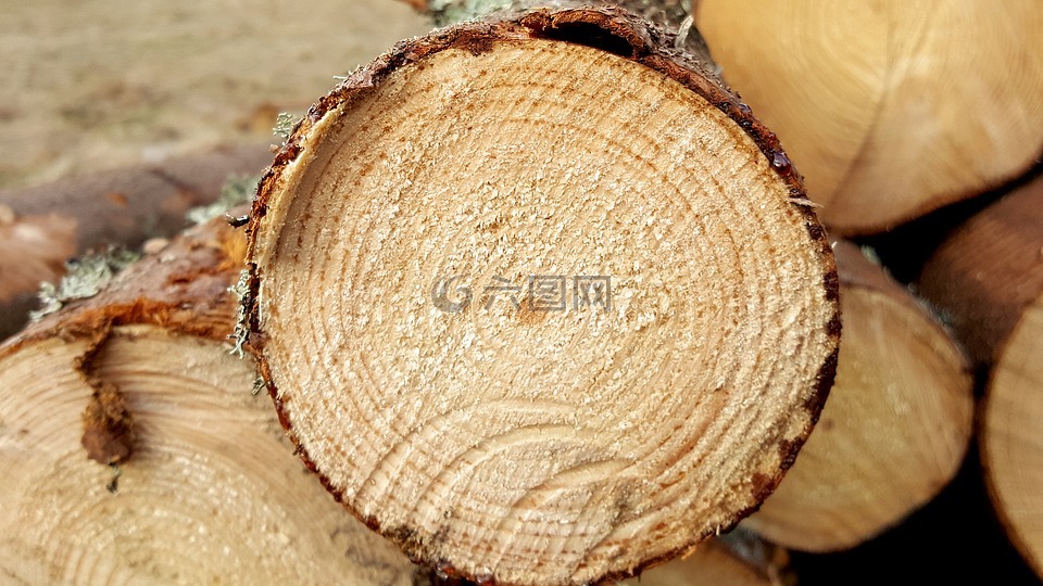 日志,锯开,木材工业
