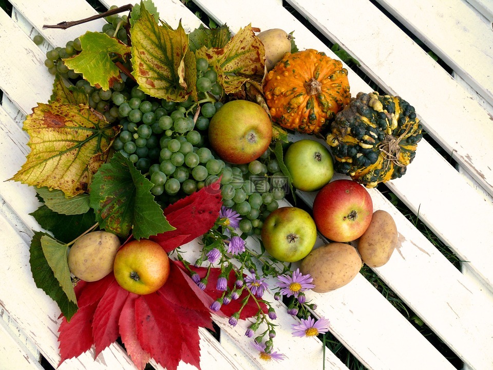 水果,收获,秋季