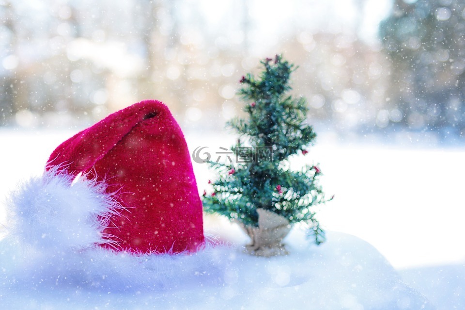 圣诞老人的帽子,雪,冬天