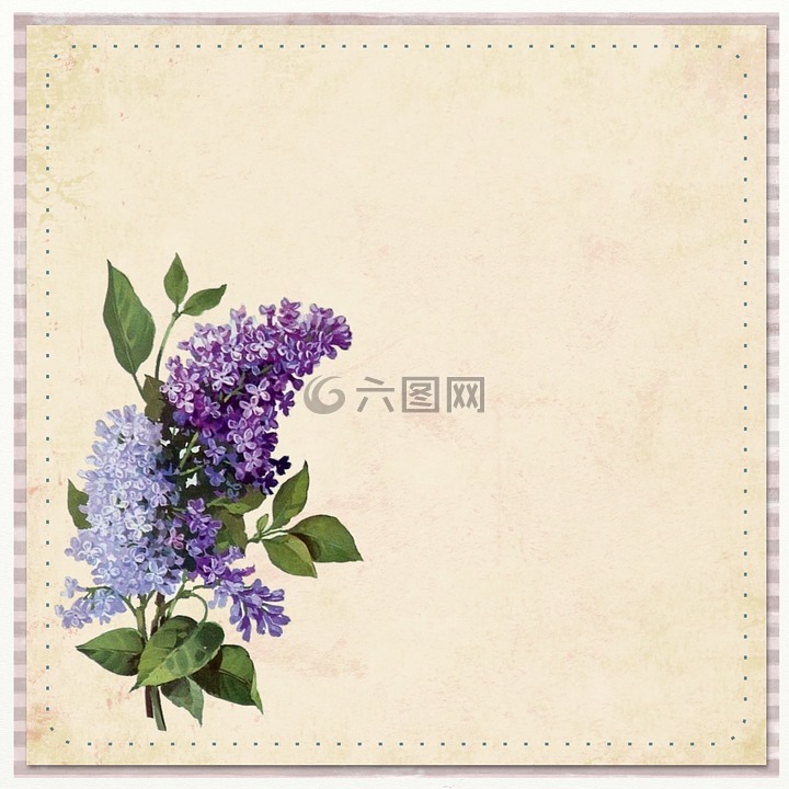 花,背景,紫色
