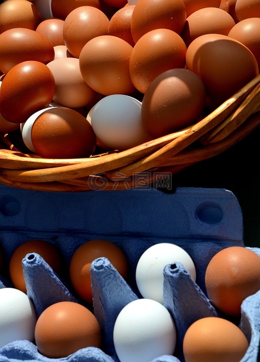 鸡蛋,蛋,蛋盒