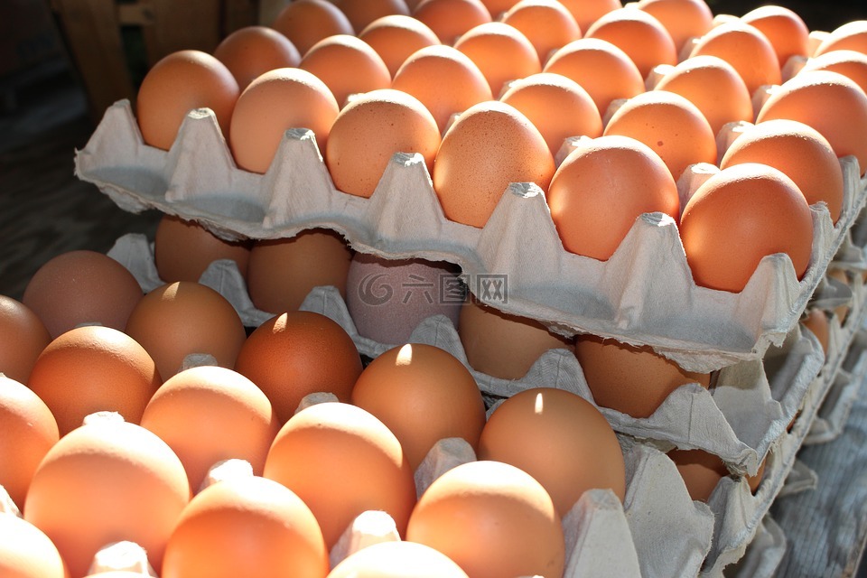 新鲜的鸡蛋,家庭长大的鸡蛋,农业