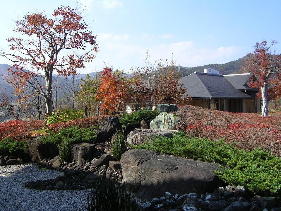 日本,秋季,景观