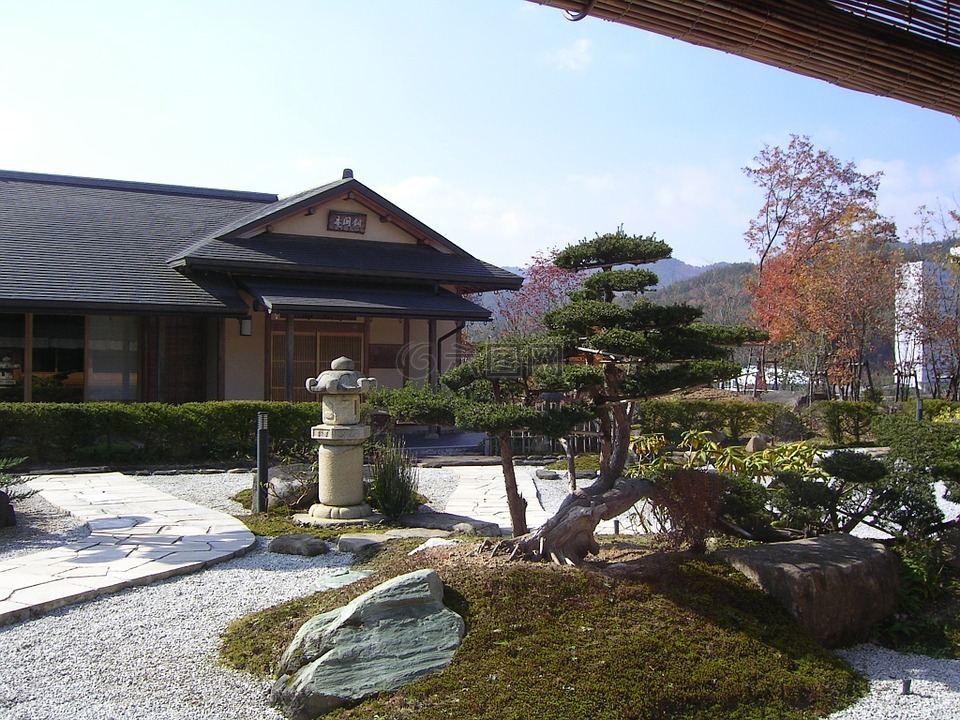 日本,茶馆,花园
