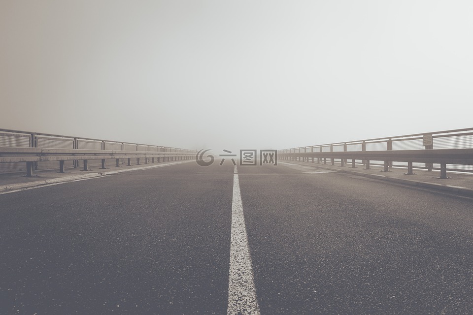 雾,道路,公路