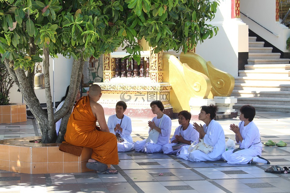 佛教,泰国,庙