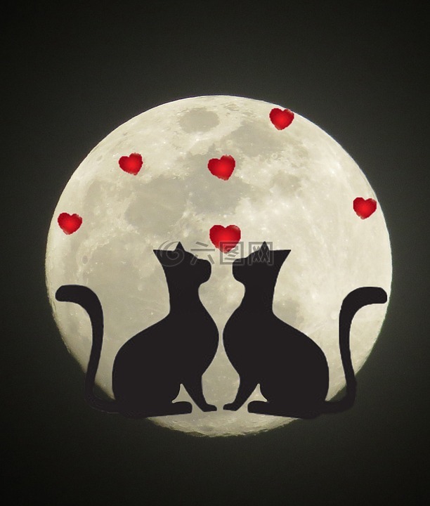 月亮猫logo图片