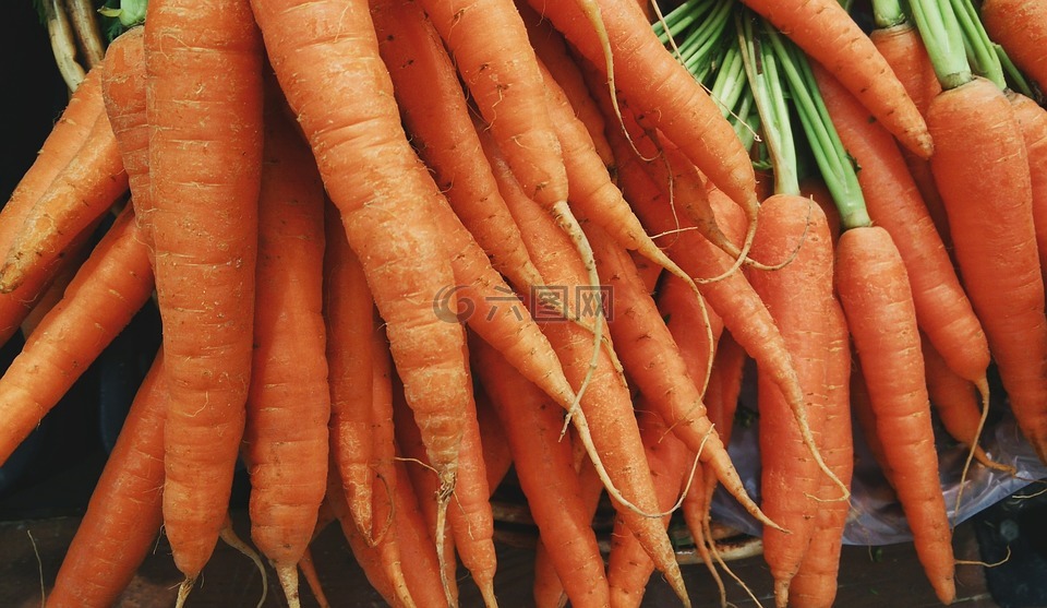 胡萝卜,蔬菜,食品