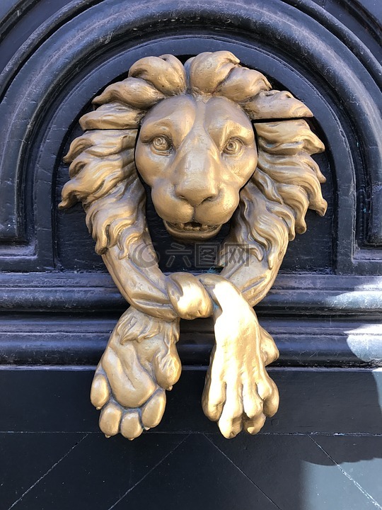 门,狮子,门环