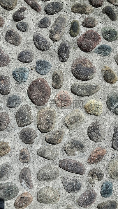 sassi,化石,岩