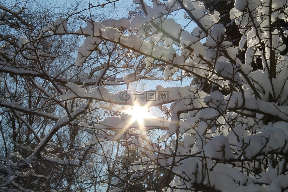 冬天,雪,太陽高清圖庫素材免費下載(圖片編號:6714146)-六圖網