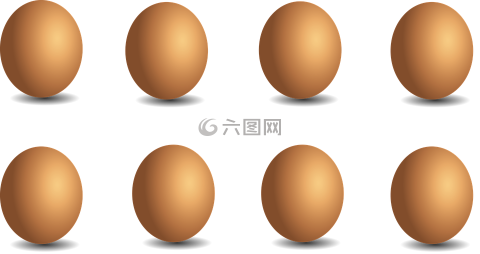 鸡蛋,蛋,鸡鸡蛋