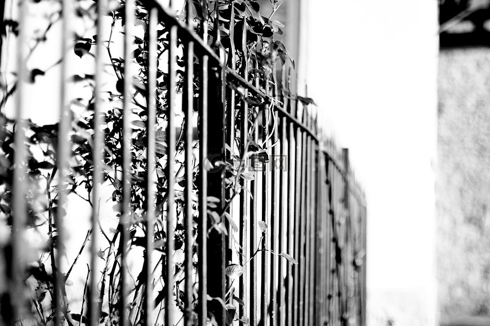 篱笆,黑白色,城堡