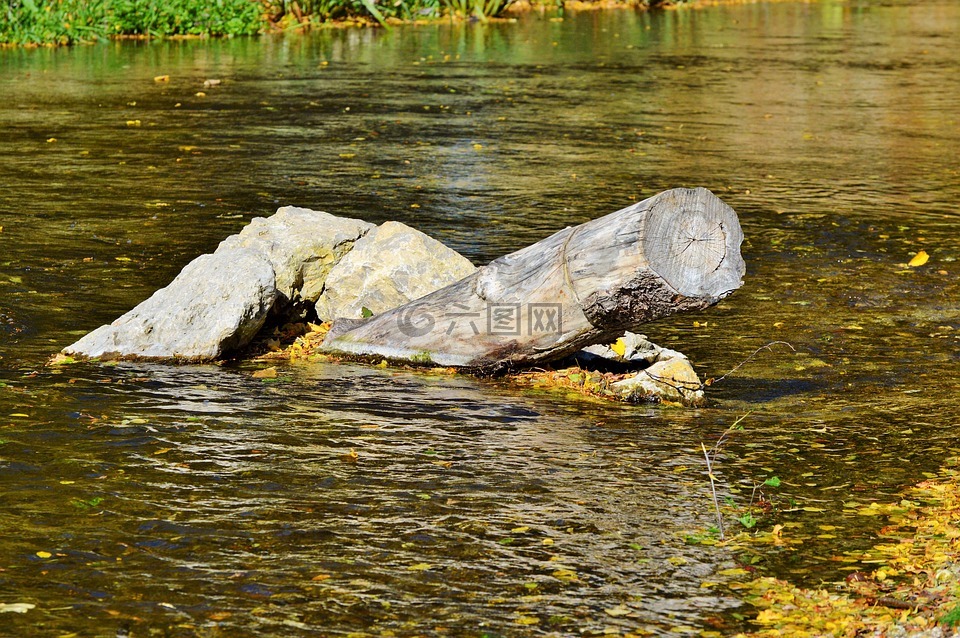 河,漂木,水