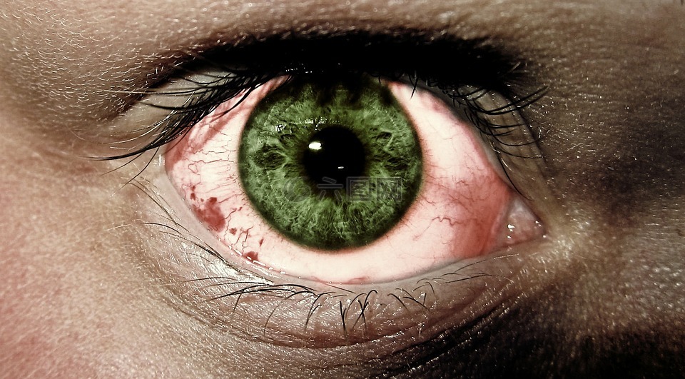 眼睛,绿色的眼睛,恐惧