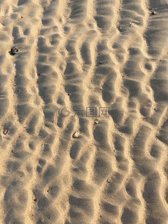 海滩,沙,在沙子里的曲目