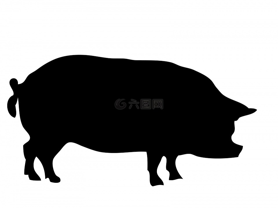 猪,动物,肉猪