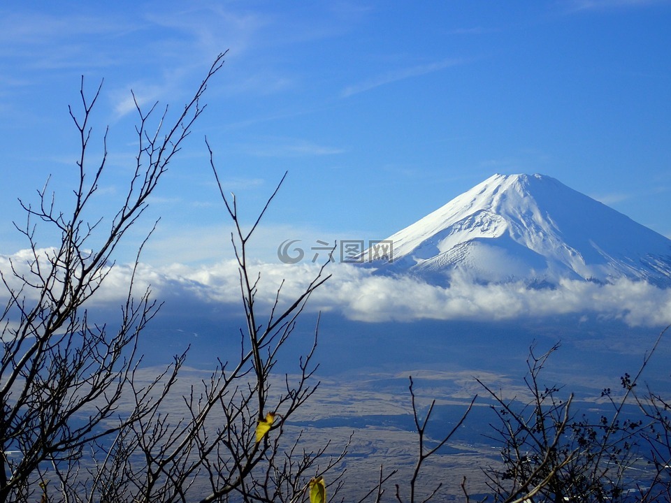 富士山,箱根,天气晴朗