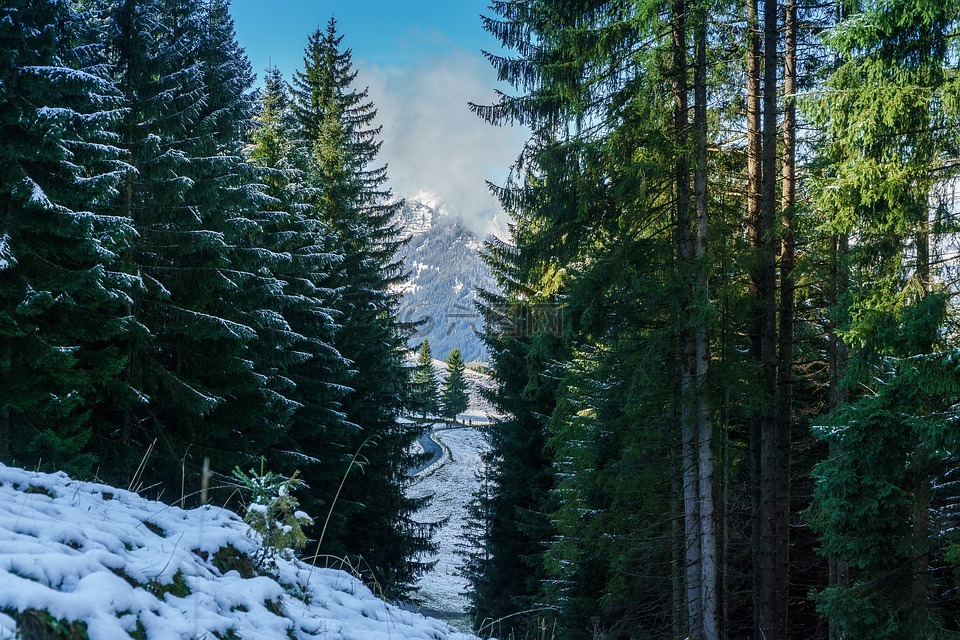 kleinwalsertal,hirschegg,远足