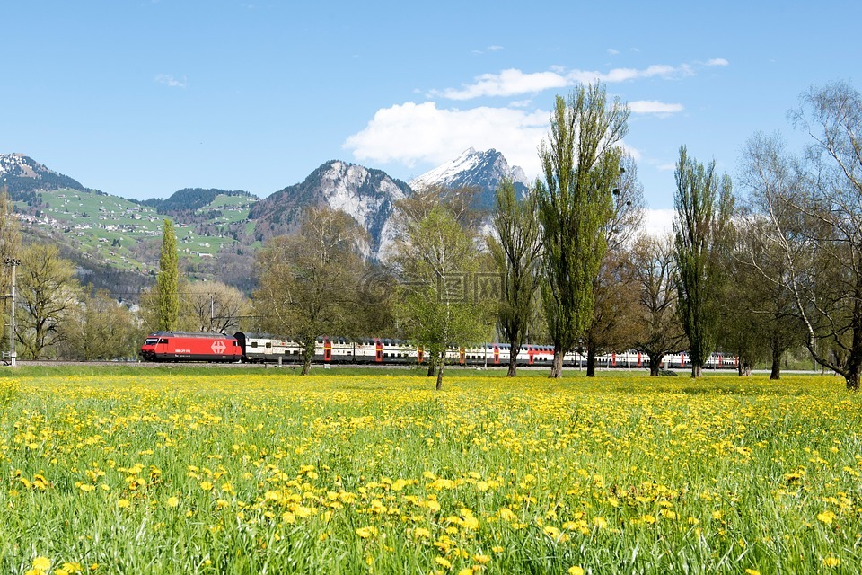 春天,瑞士,景观