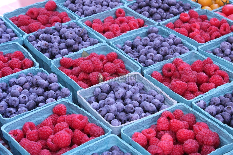 浆果,新鲜,蓝莓