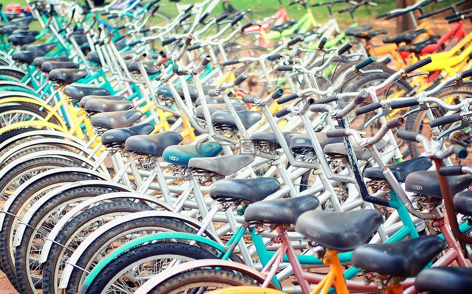 自行车,停车,循环