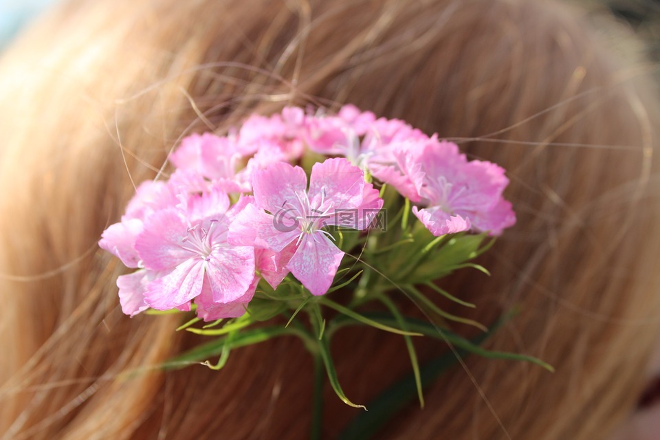 花在她的头发,粉红色,小花朵