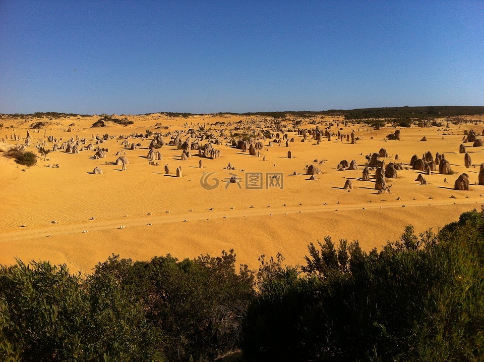 澳大利亚,尖塔,nambung 国家公园