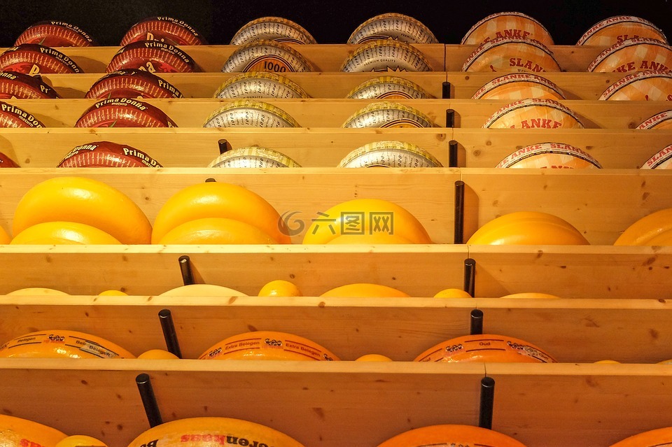 奶酪,【 新,切达干酪