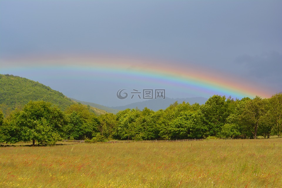 彩虹,多色,雨