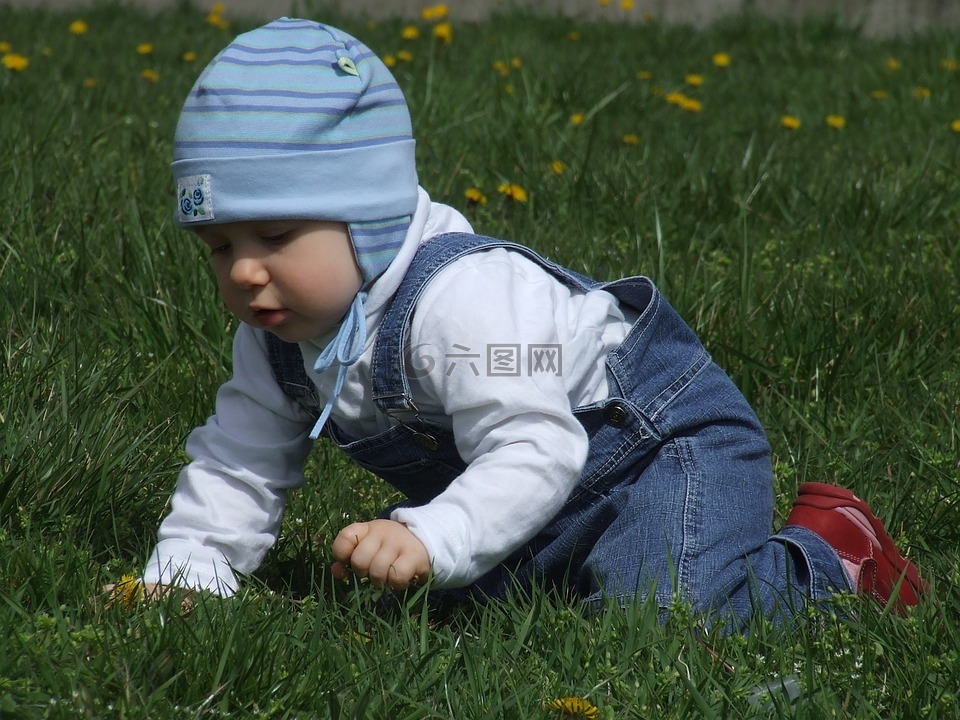 蹒跚学步,在草地上,蓝帽子