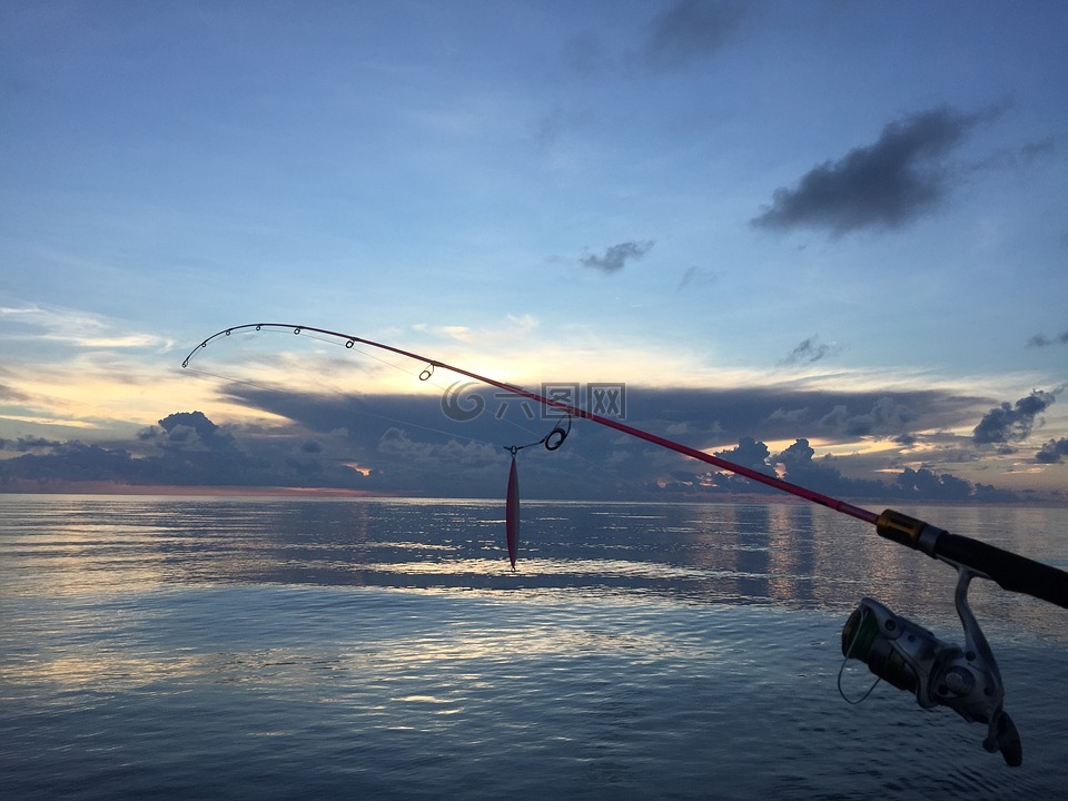 海,海钓,鱼