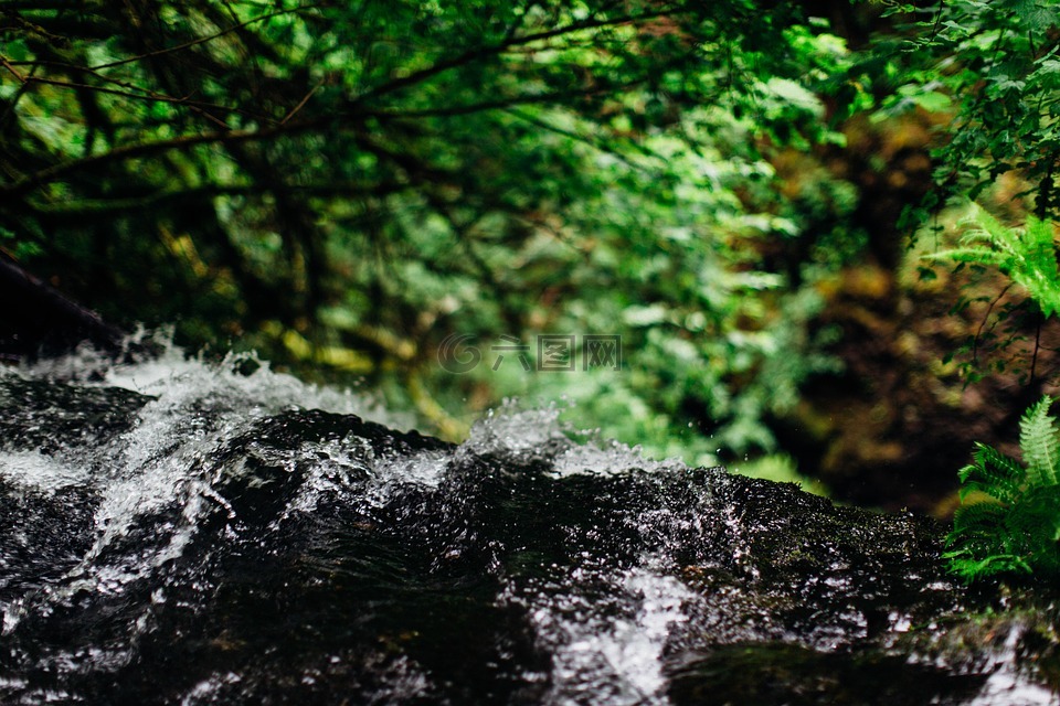 自然,大瀑布,哥伦比亚峡谷