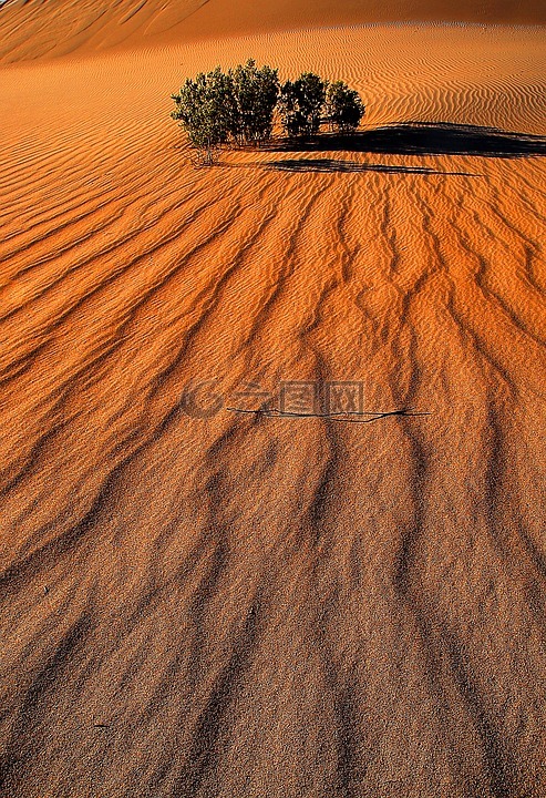 死亡谷,沙,自然