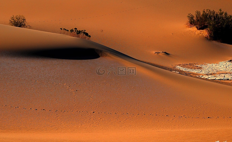 死亡谷,沙,自然