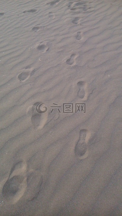 沙,海滩,行走