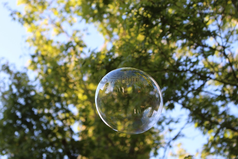 泡沫,气泡,树