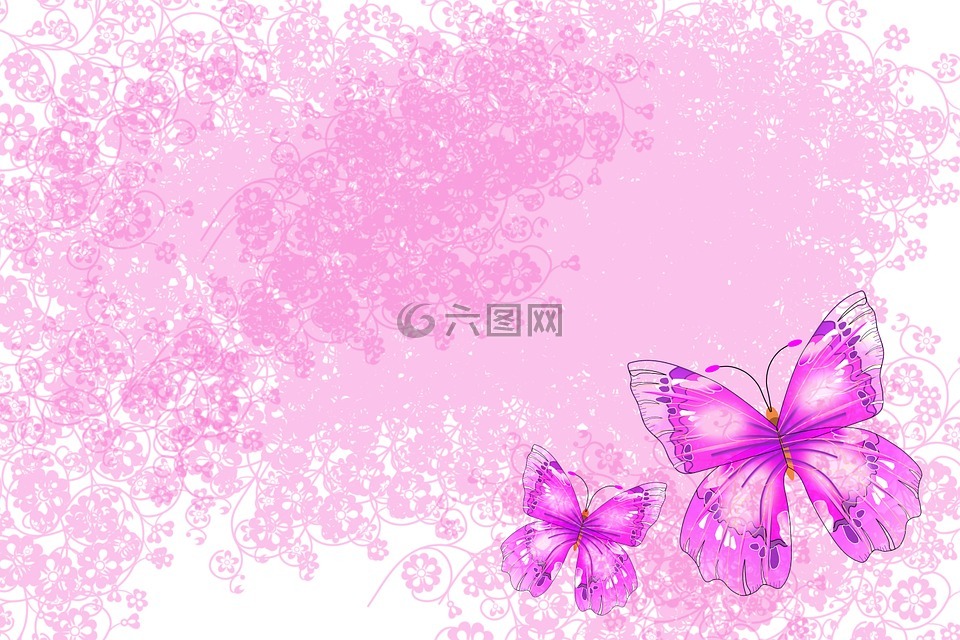 蝴蝶,背景,粉红色