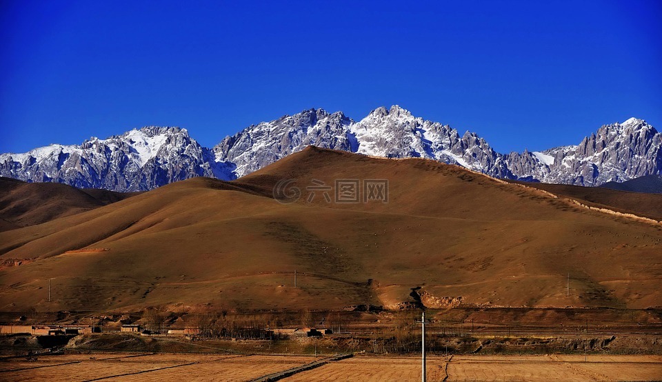 雪山,草地,祁连山