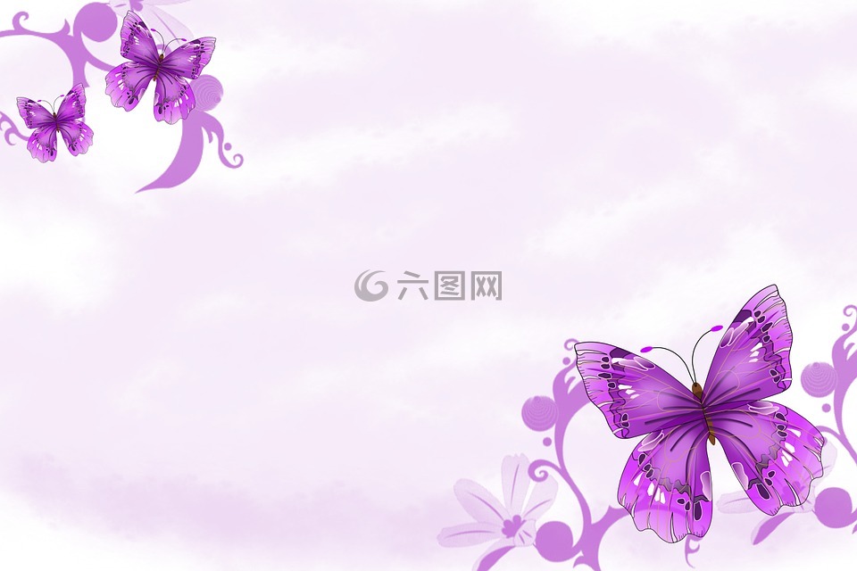 背景,紫,蝴蝶